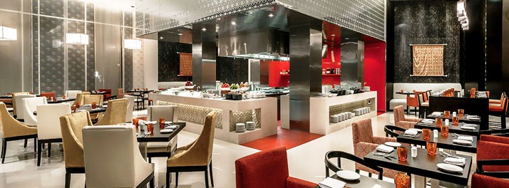 821/Hyatt Place Gurgaon Udyog Vihar - Gurgaon 08.jpg